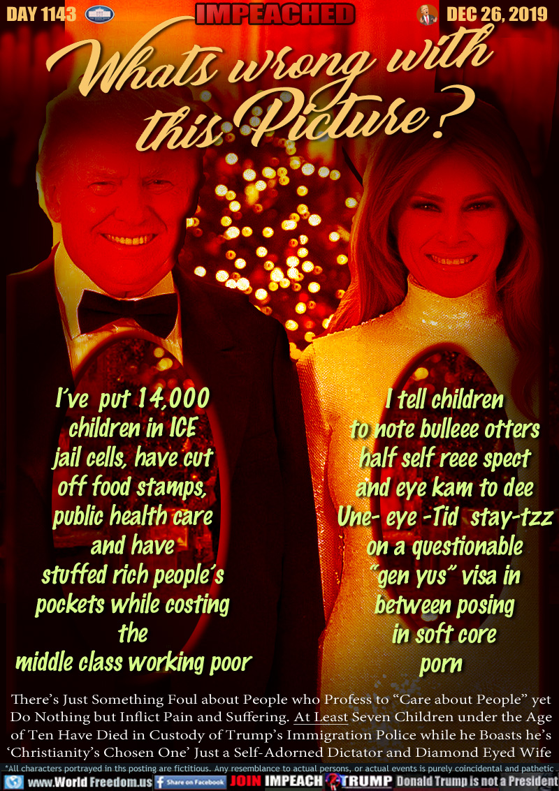 Whats wrong with this Picture?

(Donald and Melania Trump standing in front of White House Christmas Tree, holes in their hearts, you can see through to the background behind them)

Donald

