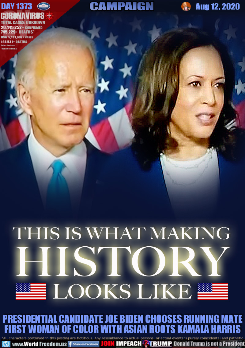 THIS IS WHAT MAKING HISTORY LOOKS LIKE

PRESIDENTIAL CANDIDATE JOE BIDEN CHOOSES RUNNING MATE
FIRST WOMAN OF COLOR WITH ASIAN ROOTS KAMALA HARRIS