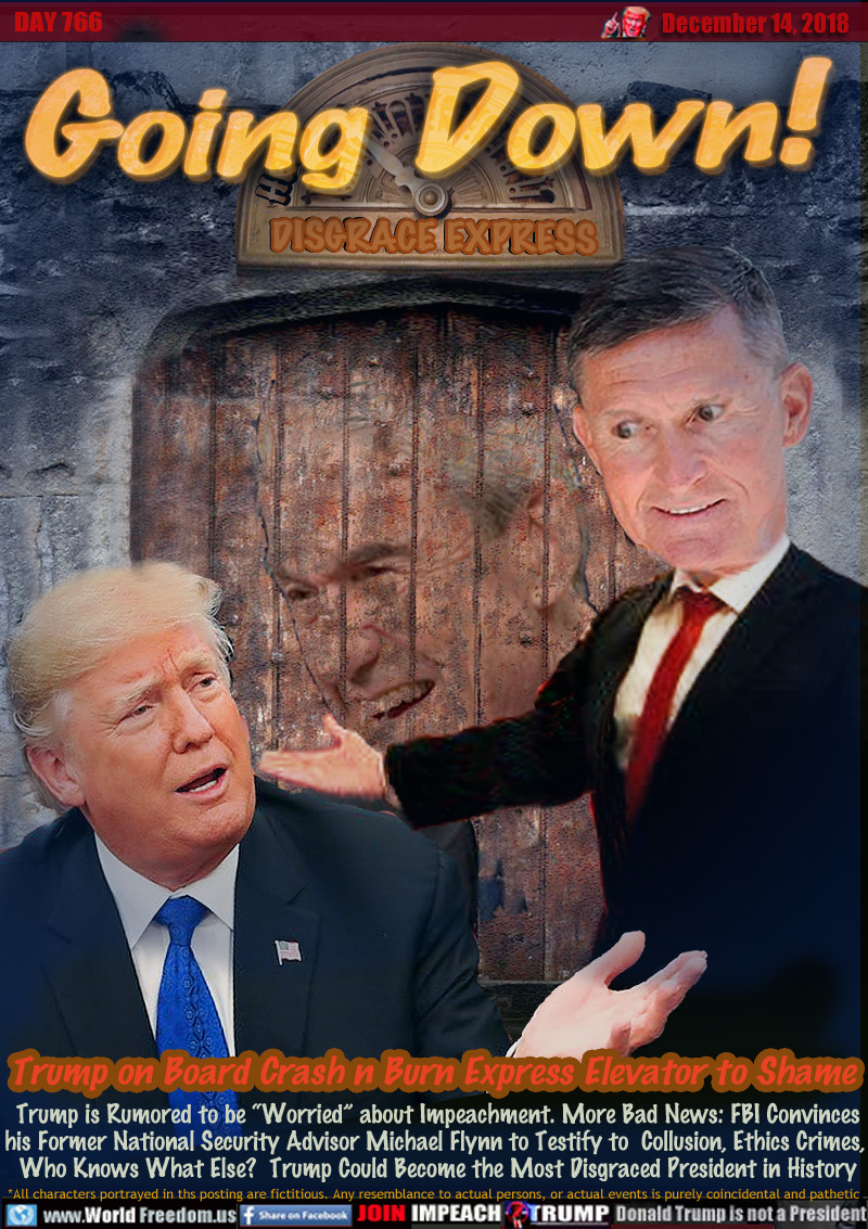 Going Down! Trump on Board Crash n Burn Express Elevator to Shame

Trump is Rumored to be “Worried” about Impeachment. More Bad News: FBI Convinces his Former National Security Advisor Michael Flynn to Testify to  Collusion, Ethics Crimes, Who Knows What Else?  Trump Could Become the Most Disgraced President in History