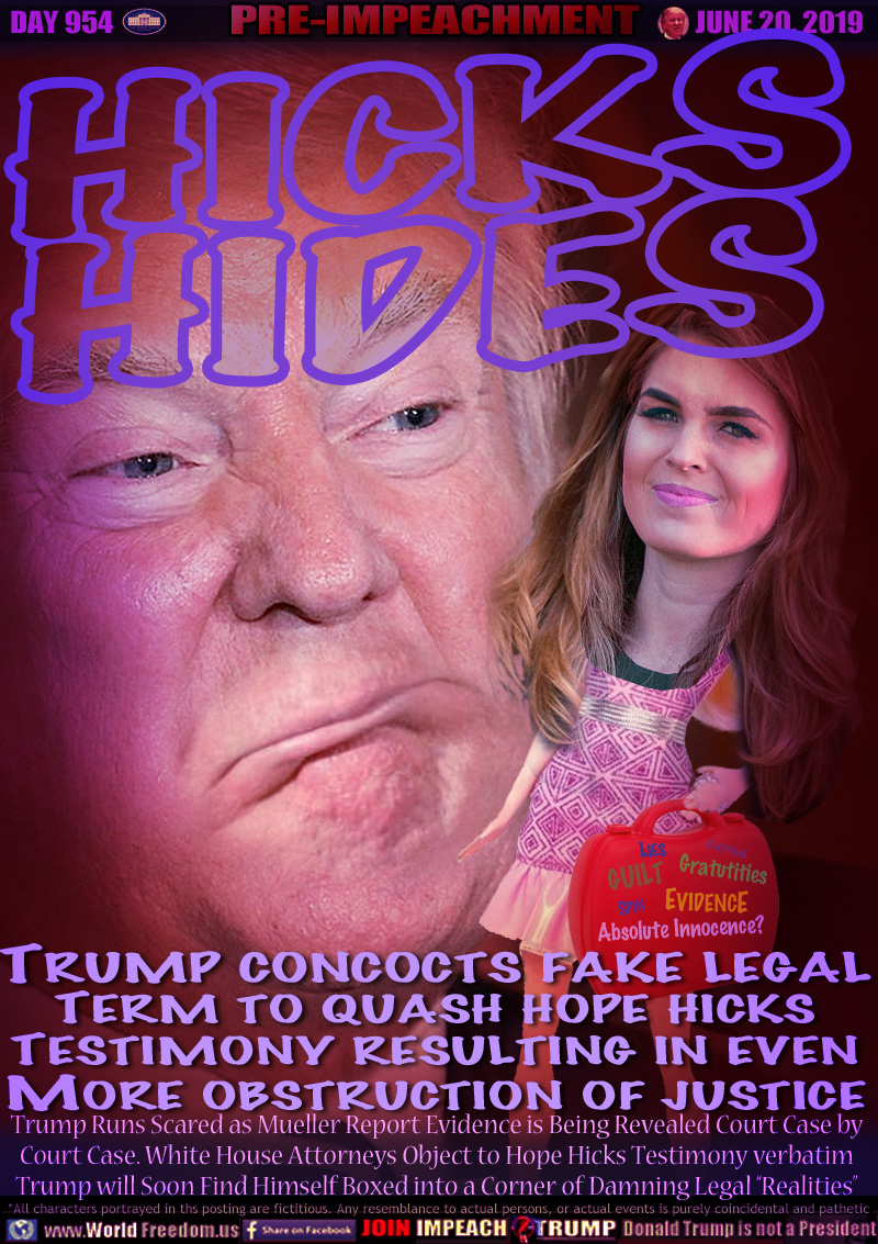 HICKS
HIDES

TRUMP CONCOCTS FAKE LEGAL
TERM TO QUASH HOPE HICKS
TESTIMONY RESULTING IN EVEN
MORE OBSTRUCTION OF JUSTICE

Barbie Doll hicks 